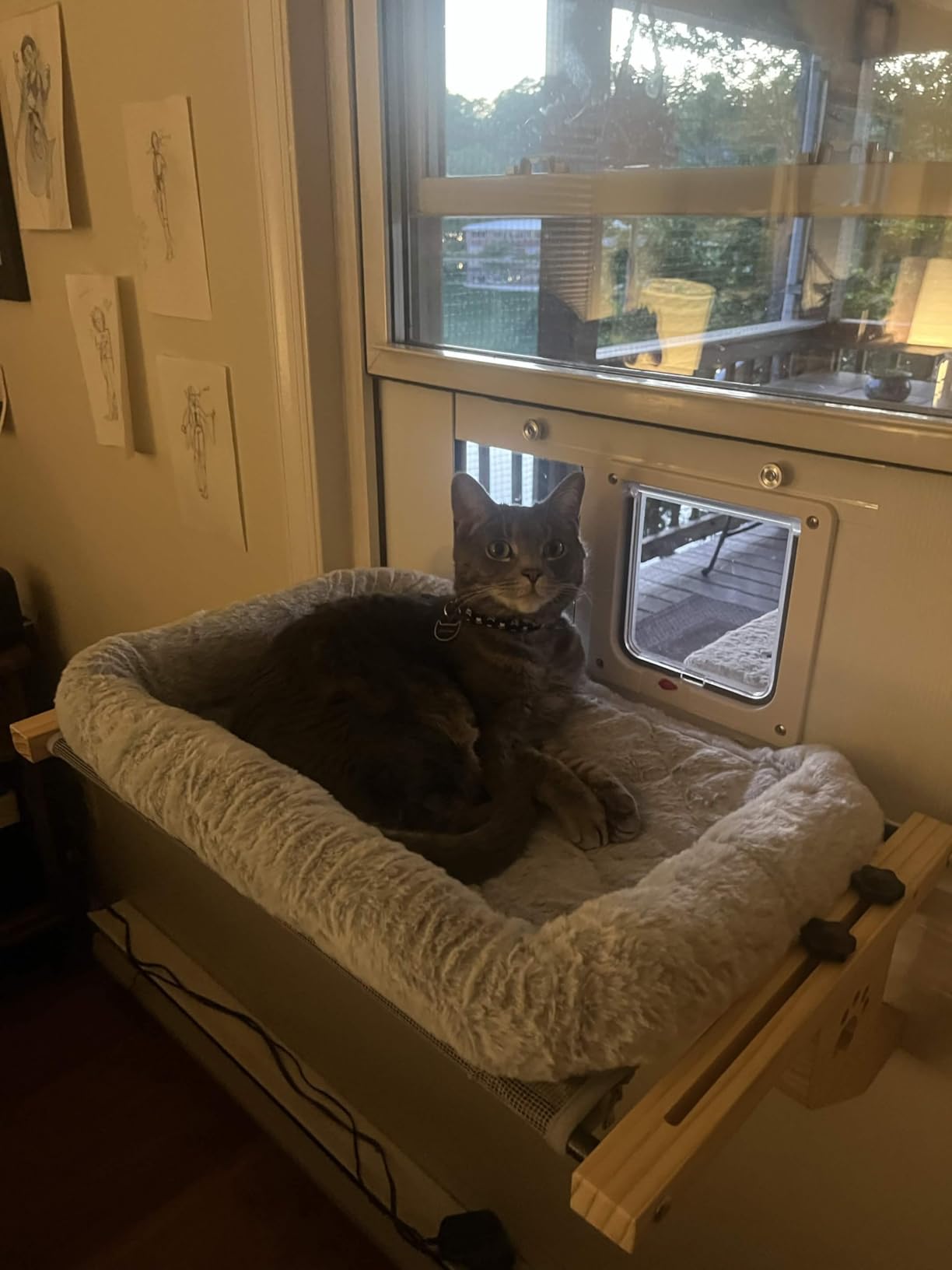 AMOSIJOY Wooden Cat Windowsill Perch with Zipper Cushion Bed, 21.7in customer photo 2