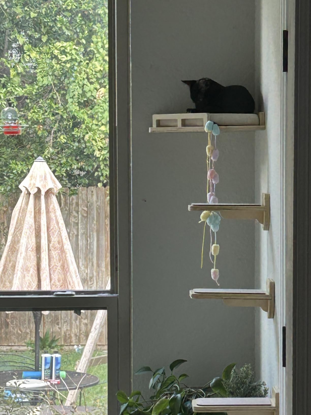 INICIO Cat Wall Shelves and Steps, 4-Piece Wooden Cat Wall Furniture Set customer photo 1