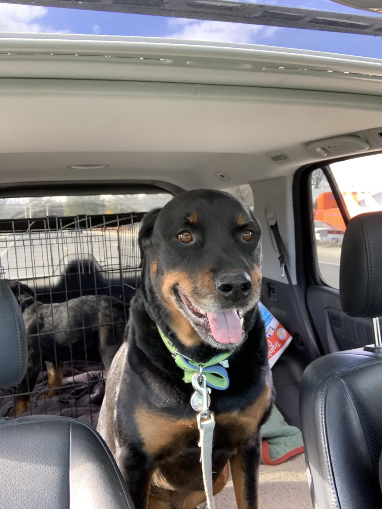 Dog Car Barrier for SUVs, Van, Vehicles, Adjustable Large Pet Barriers, Universal Fit Heavy-Duty Wire Mesh Dog Guard, Pet Divider Gate for Truck Cargo Area, Safety Car Divider, 61.9 Inches customer photo 1