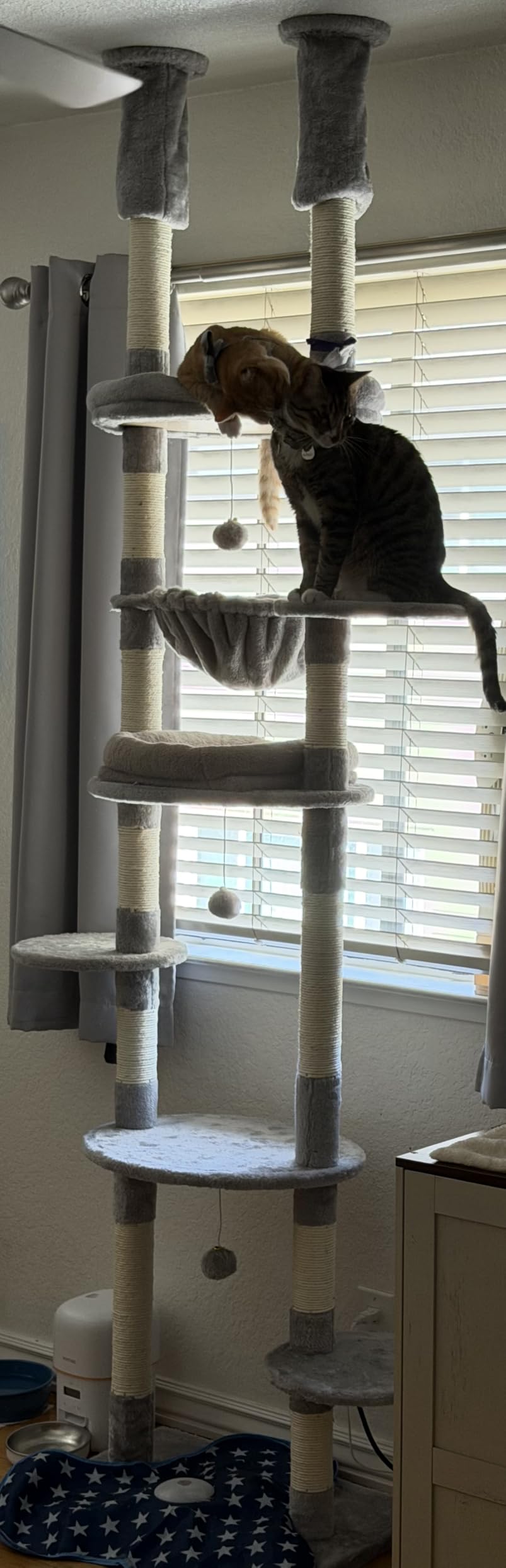 Cat Tree, Floor to Ceiling Cat Tower Adjustable Height[92-102 Inches=234-258cm], 7 Tiers Cat Climbing Tree with Hammock, Platforms and Fully Sisal Scratching Posts for Indoor Cats, Beige customer photo 1