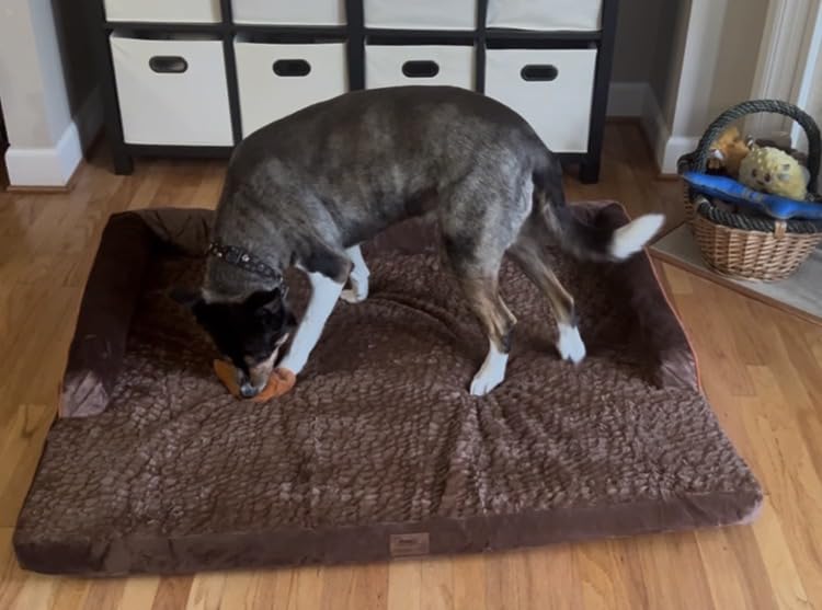MEKIY Orthopedic Washable Dog Bed with Bolster for Medium to Large Dogs customer photo 1
