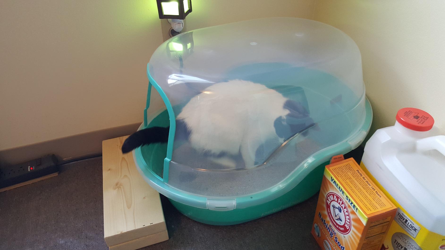 petphabet Covered Litter Box, Jumbo Hooded Cat Litter Box Holds Up to Two Small Cats Simultaneously,Extra Large (Navy Blue)… customer photo 1