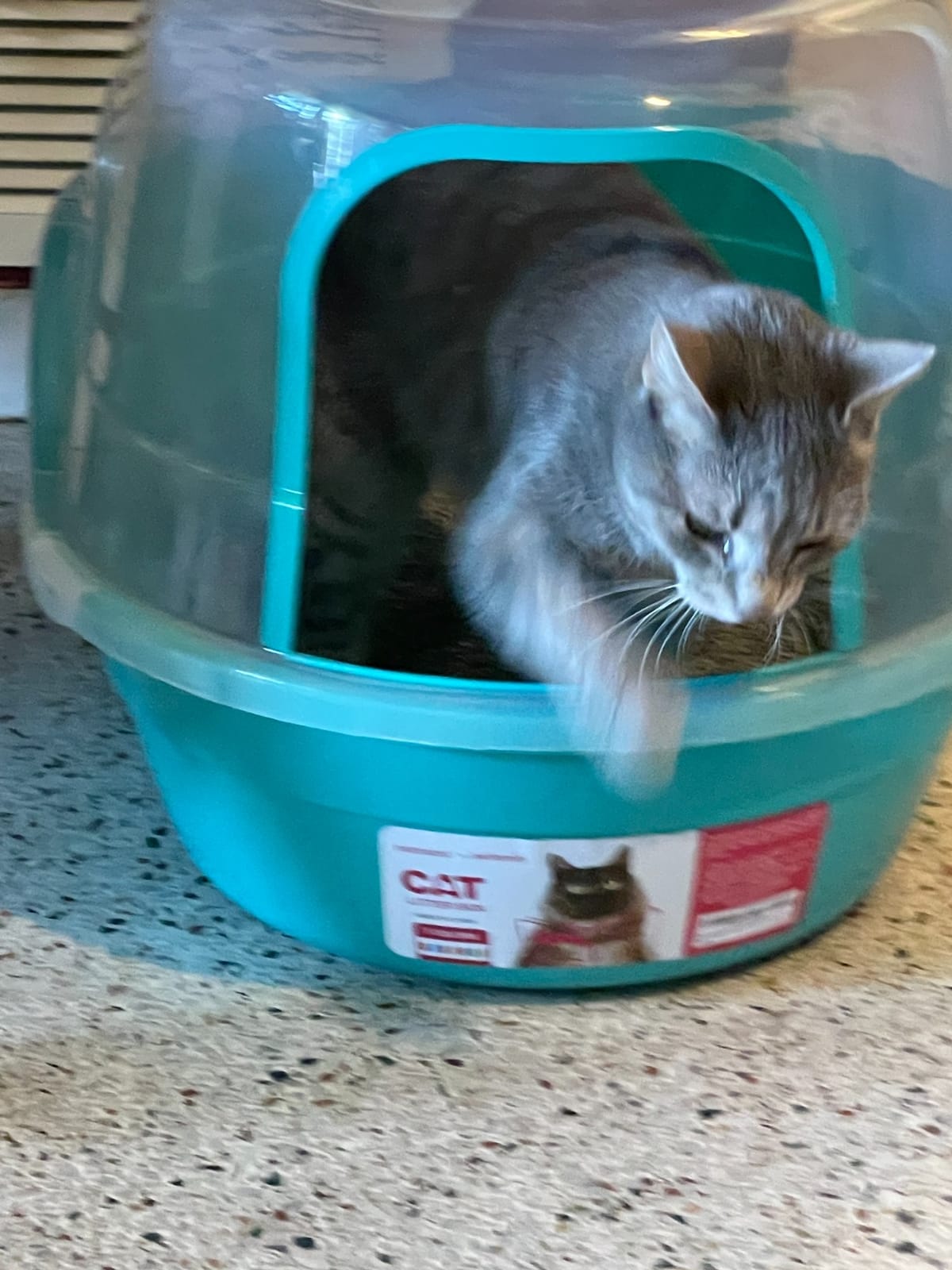 petphabet Covered Litter Box, Jumbo Hooded Cat Litter Box Holds Up to Two Small Cats Simultaneously,Extra Large (Navy Blue)… customer photo 2
