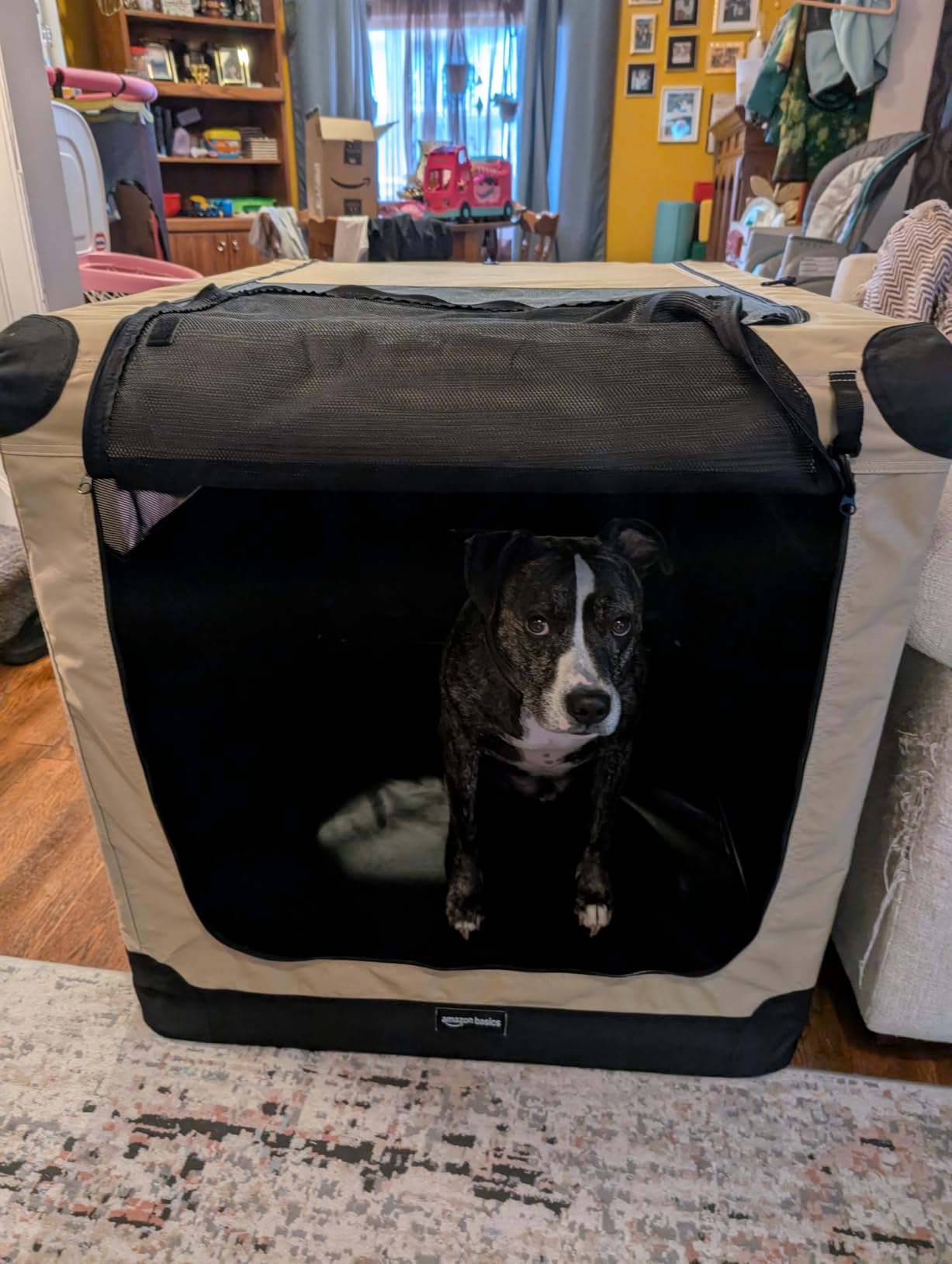 Amazon Basics Portable Folding Soft Dog Crate, 4-Doors, Collapsible Travel Kennel for Cat, Dog, and Small Animals, Quick Setup, Small 26