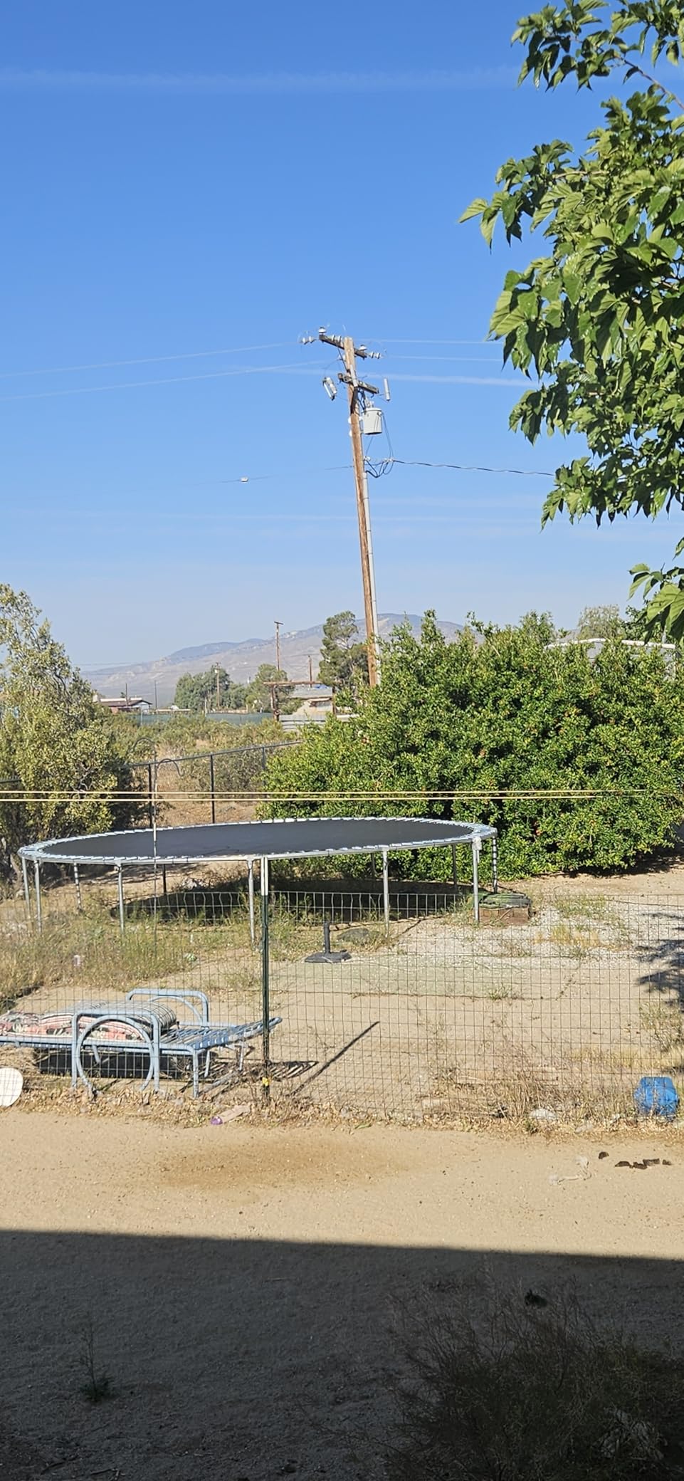 Lyromix 10 12 14 16FT Trampoline Outdoor, Light/Sprinkler/Basketball Hoop customer photo 2