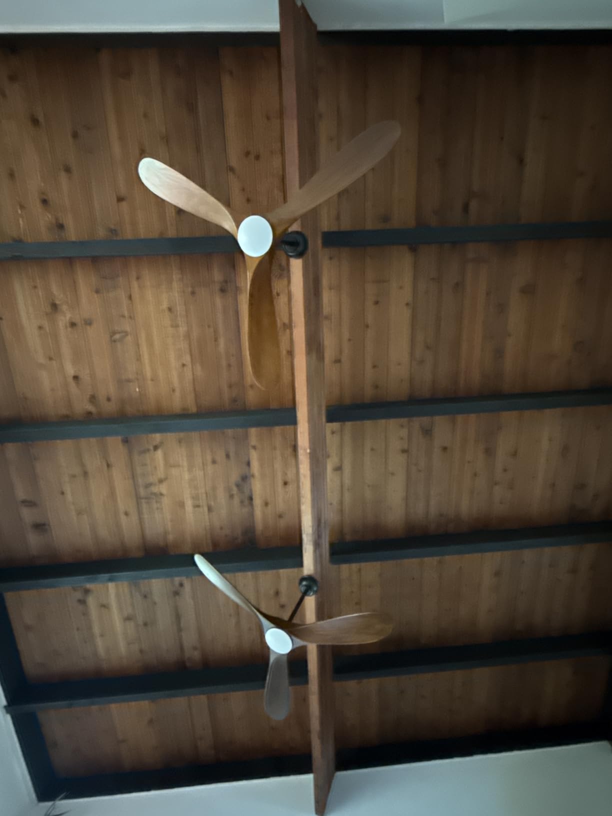 Haipeel 52 Inch Outdoor Ceiling Fan with Light and Remote, Solid Wood customer photo 1