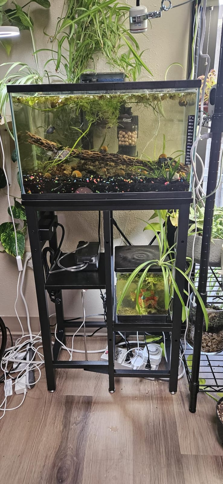 Bestier 55-75 Gallon Fish Tank Stand with Power Outlet, Rustic Brown, 49x13 customer photo 1