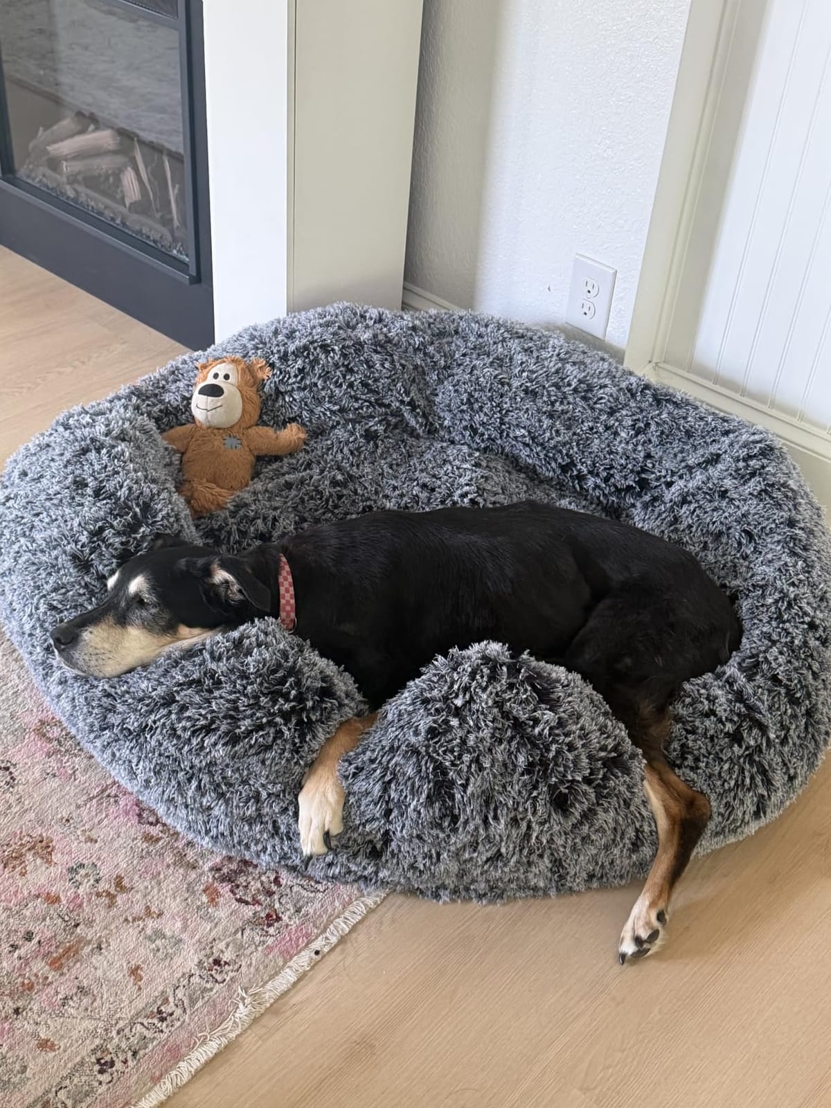 JOLLYVOGUE Calming Dog Bed Medium Size Dog, Anti-Anxiety Donut Medium Pet Bed, 27 inches Fluffy Faux Fur Round Cat Bed (Smoke Grey) customer photo 1