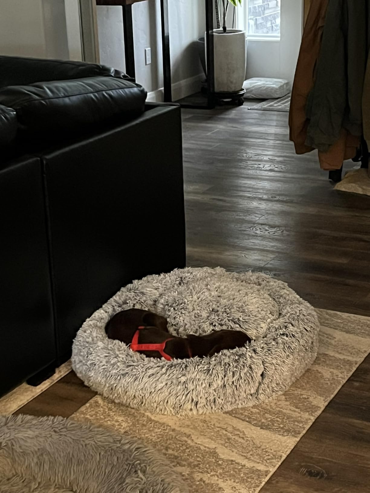 JOLLYVOGUE Calming Dog Bed Medium Size Dog, Anti-Anxiety Donut Medium Pet Bed, 27 inches Fluffy Faux Fur Round Cat Bed (Smoke Grey) customer photo 2