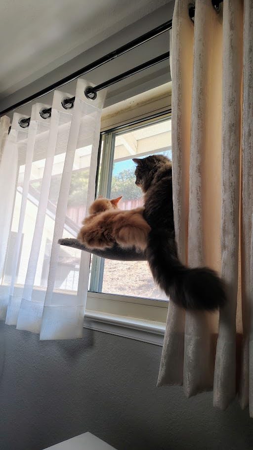 Zoratoo 2PC Cat Window Perch, Foldable & Cordless with Metal Frame, M Gray customer photo 2
