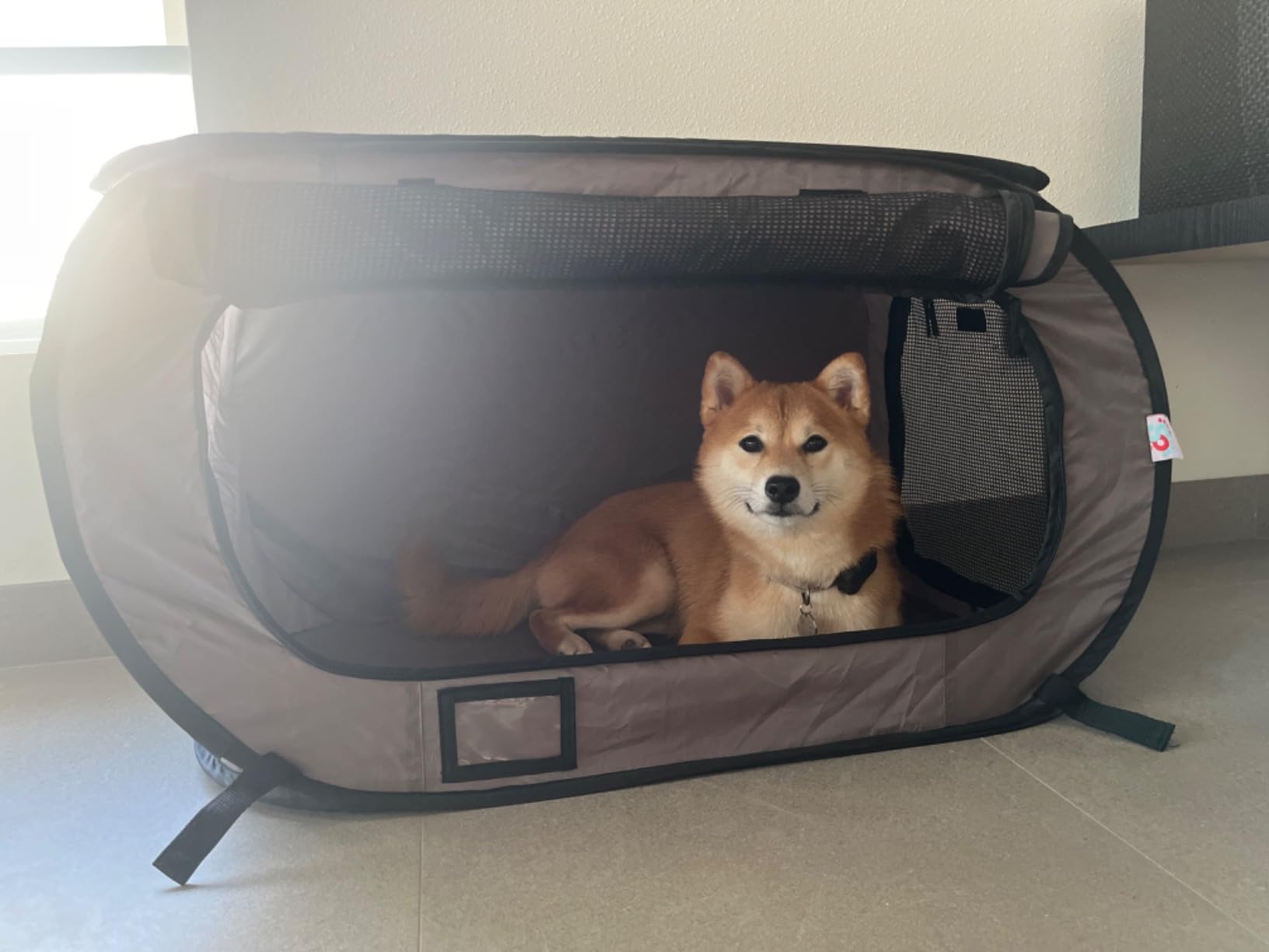 SportPet Designs Soft Sided Pop-Open Kennels, Light Green customer photo 1