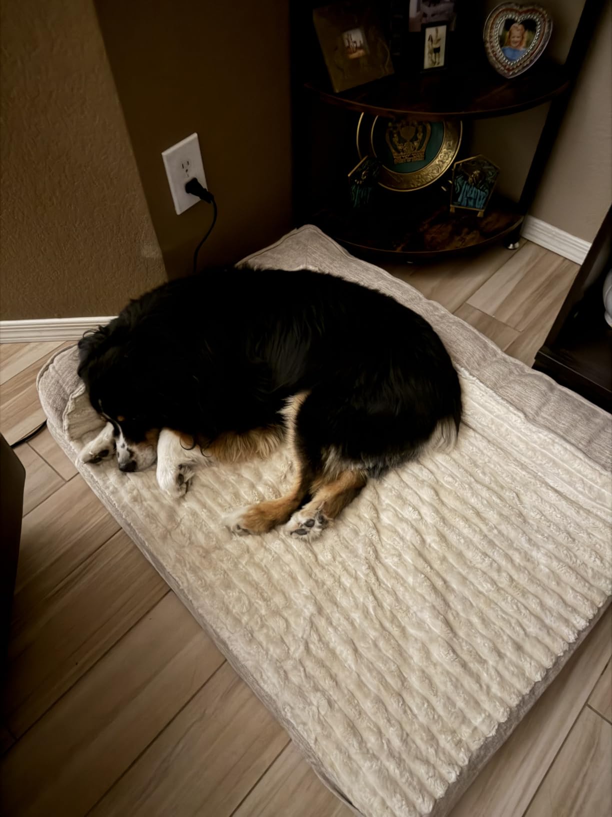 WINDRACING Orthopedic Dog Beds for Medium Dogs, Waterproof Egg Foam Dog Sofa Bed with L Bolster Sides, Washable Medium Pet Bed with Removable Cover & Non-Slip Bottom, 36 x 23 inch, Gray customer photo 1