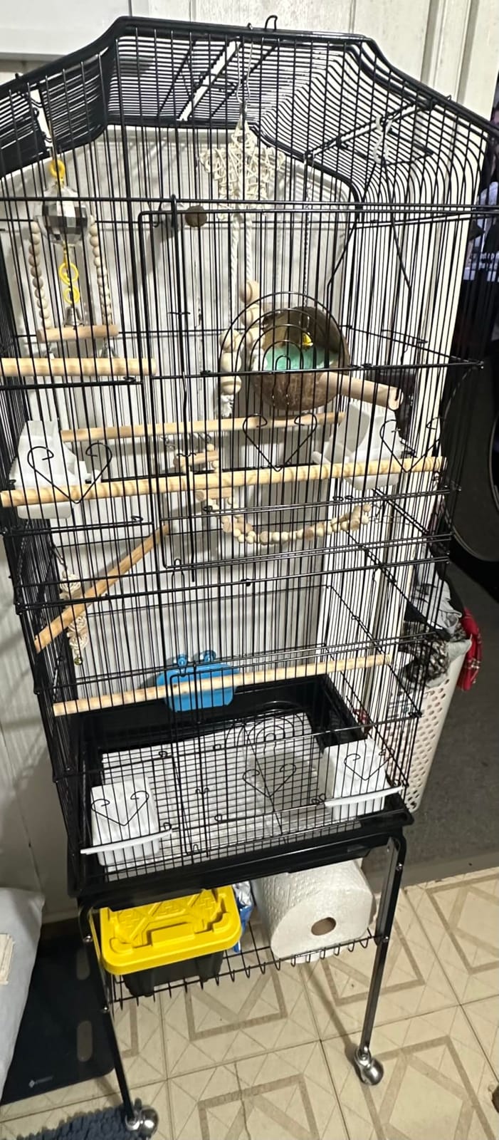 VEVOR 64-inch Open Top Large Parrot Bird Cage with Detachable Rolling Stand for Parakeets Finches Canaries Lovebirds Cockatiels Budgies Small Quaker Conures Flight Birdcage with Swing and Perch customer photo 1