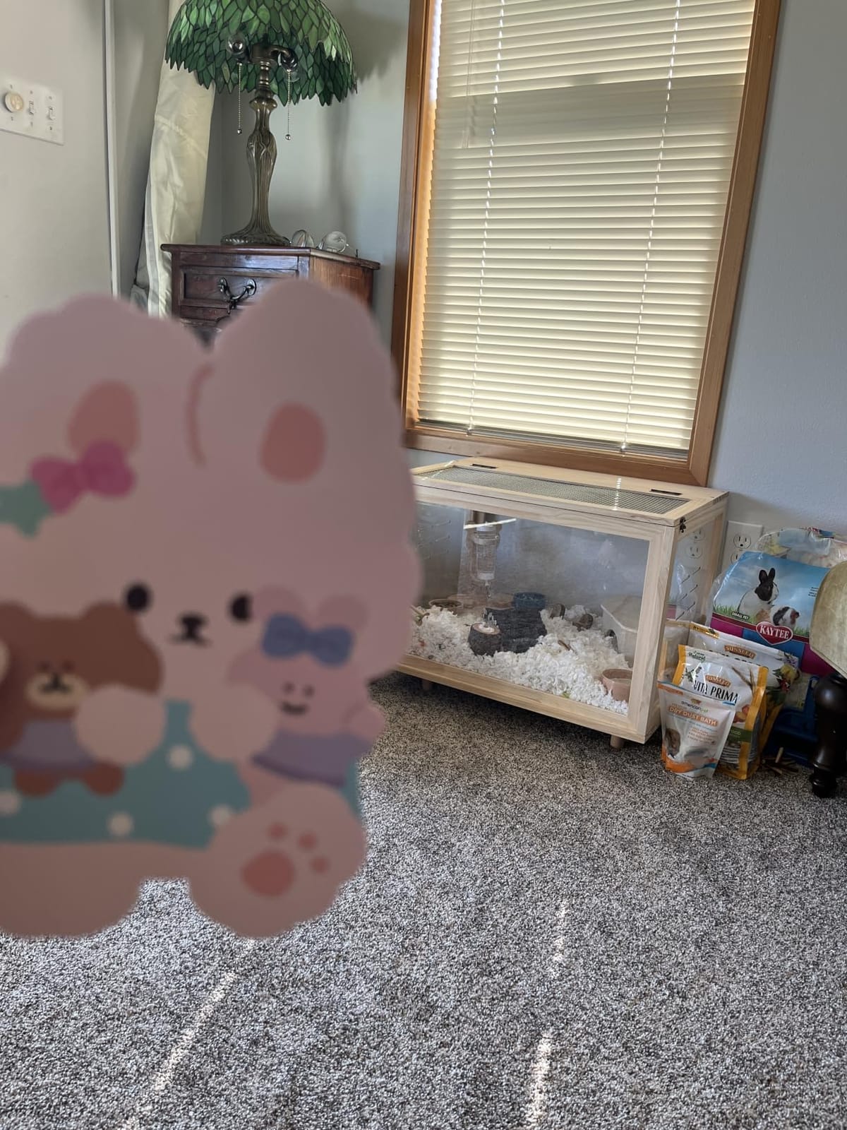 Wooden Hamster Cage - 24 inch Guinea Pig Cage Clear Small Animal cage with Open top Hamster Habitat Wooden Frame with Acrylic Panel customer photo 2