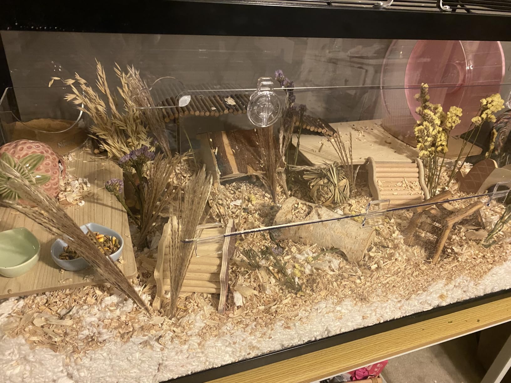 VEVOR Hamster Cage, 360 Viewing Transparent Hamster Habitats, Small Animal Cage customer photo 2