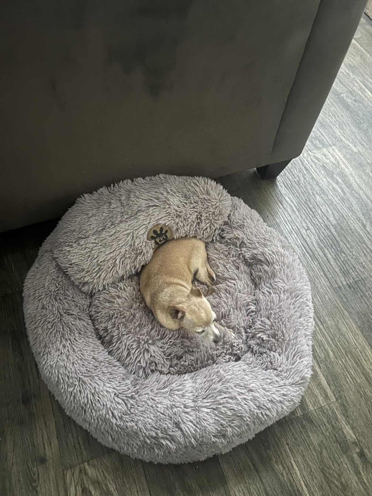 PetJett Calming Medium Dog Bed - 30'' Round Dog Beds - Washable Dog Bed - Anti-Slip Super Soft Fluffy Plush Donut Bed, Anti-Anxiety Premium Comfort Pet Bed, Fits Dogs up to 45 lbs - Beige customer photo 1