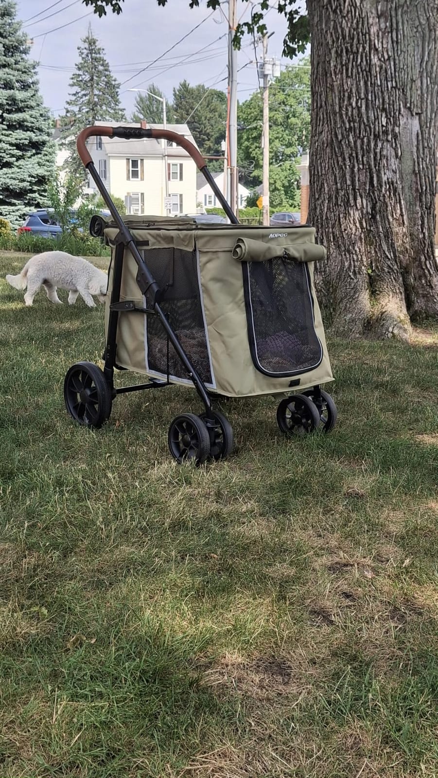 Medium Dog Stroller, Dual Entry One-Touch Folding,Small and Medium Pet Stroller,360° Rotating Front Wheels,80 lbs Weight Capacity for Outdoor Travel and Elderly Dogs - Green customer photo 1