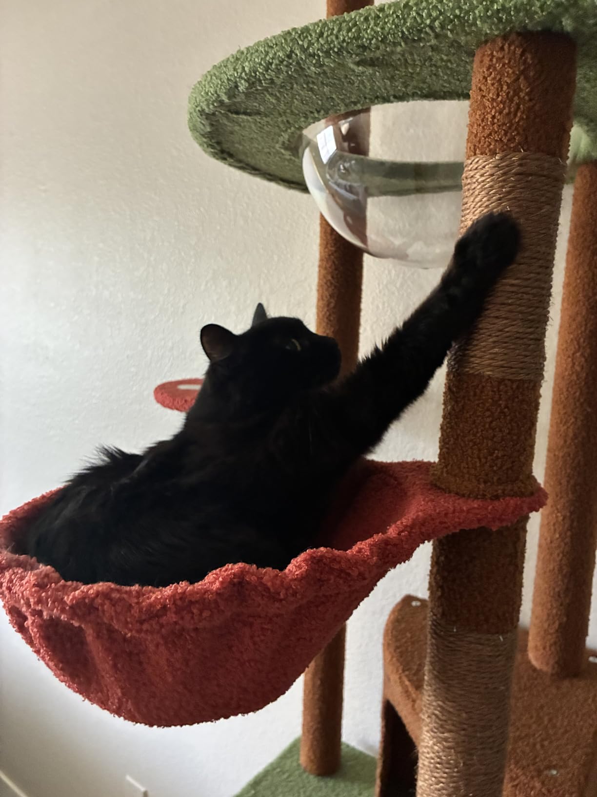 PEQULTI Floor to Ceiling Cat Tree, Adjustable 83-108in 5-Level Tower, Beige customer photo 2