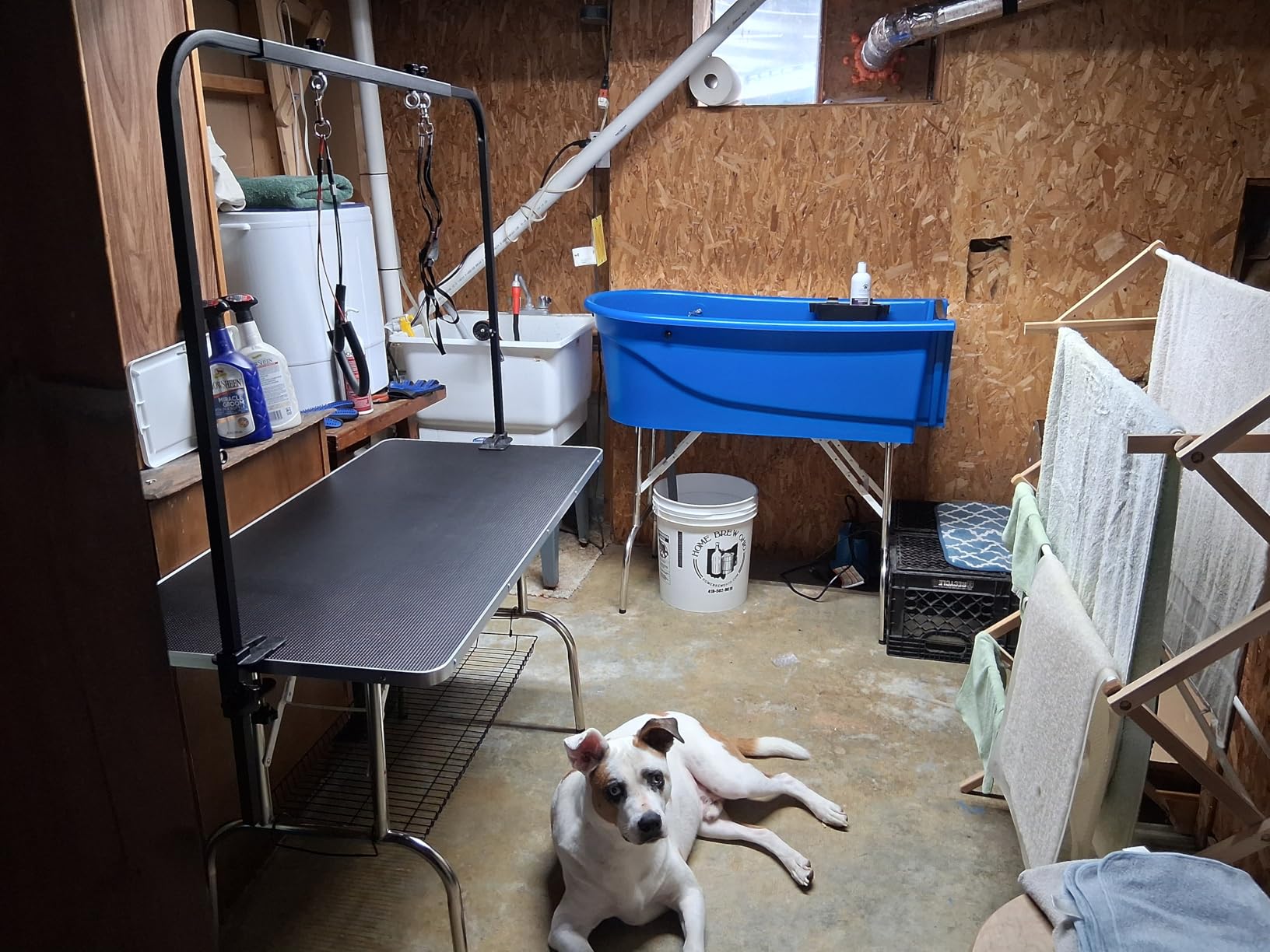 SHELANDY 46-in Dog Grooming Table for Large Pets customer photo 1
