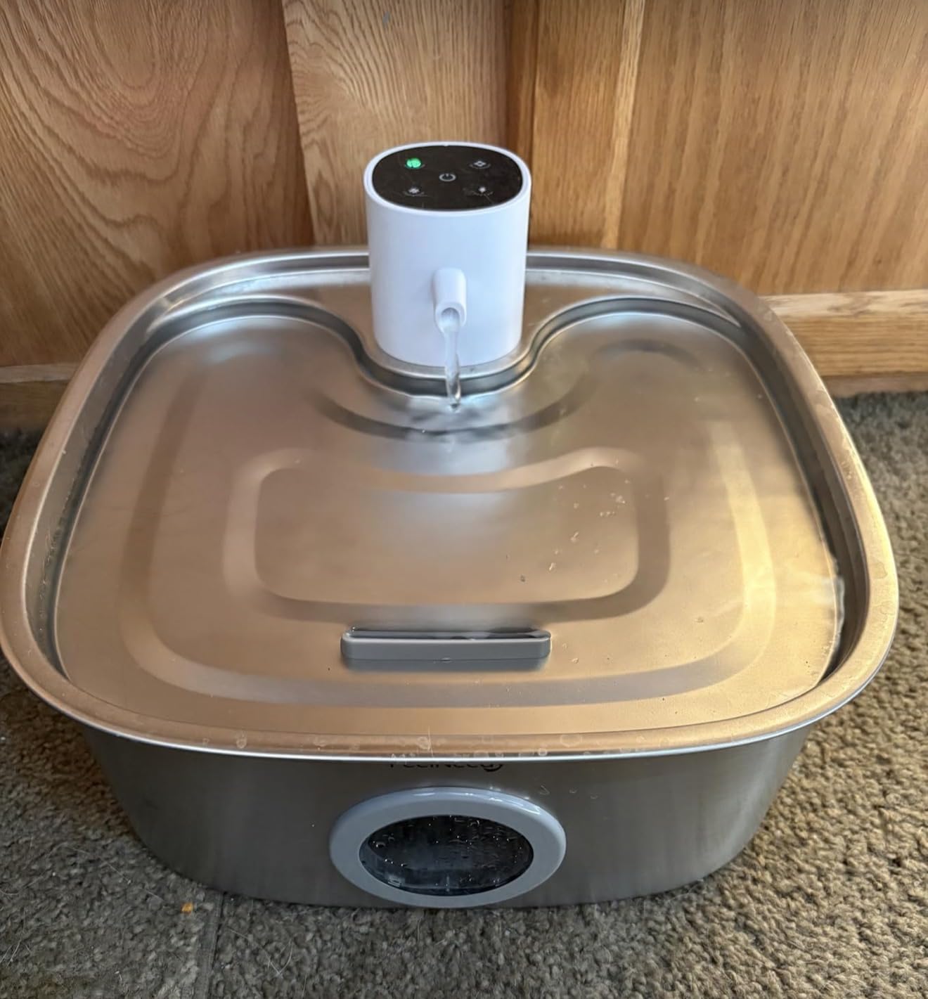 Cordless Wider Tray Dog Water Fountain, 5000mAh Battery Operated Dog Water Bowl Dispenser with 3 Motion Sensor, FEELNEEDY Stainless Steel Pet Water Fountain for Multi-Pets, Easy Setup & Clean, 8L customer photo 2