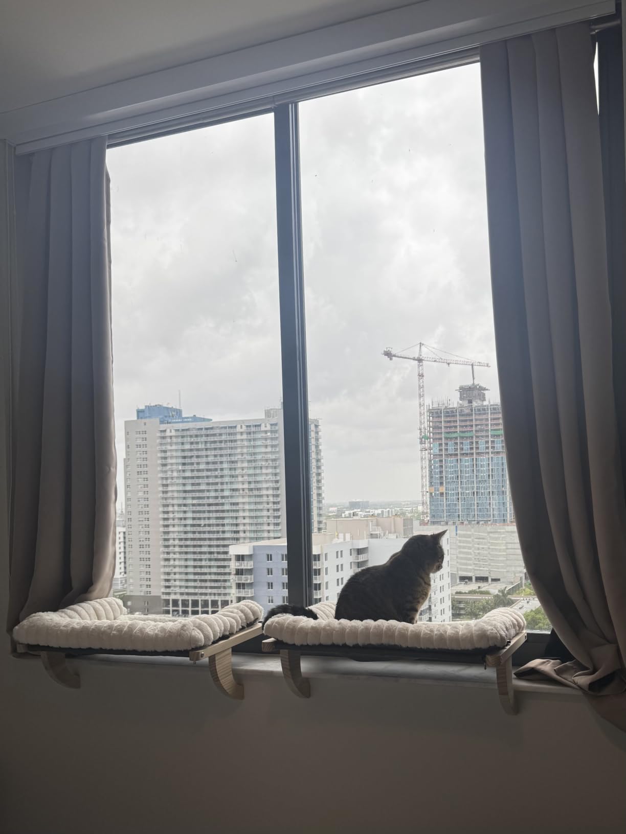 Cloud-Soft Cat Window Sill Perch, Zipper Design Cushion Pet Bed, M customer photo 2