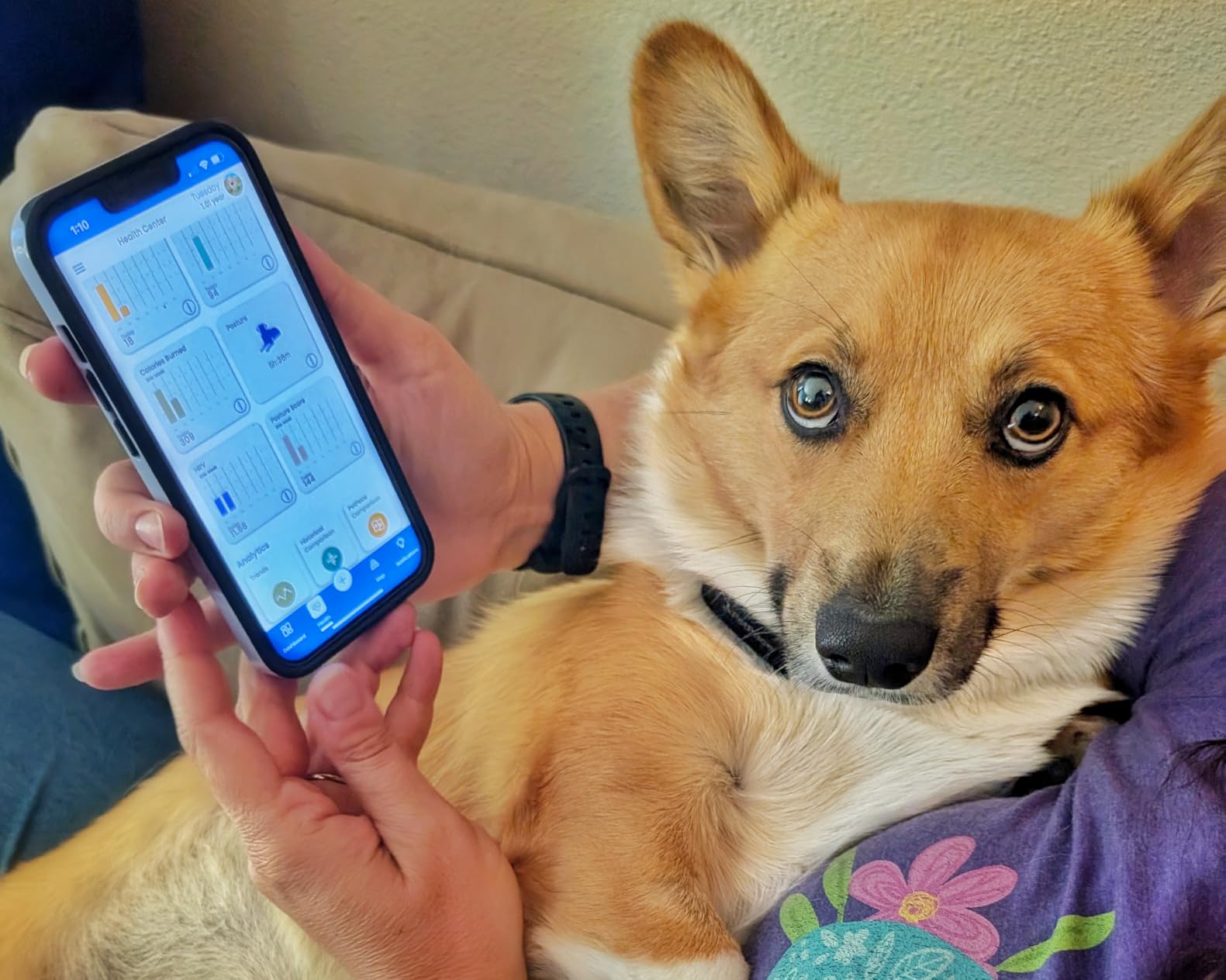 NEW Dog Health Monitor V3.0 by PetPace – AI Smart Collar with 24/7 Vital Signs, Pain & GPS Tracking, Telehealth AskaVet & Share With Your Vet, Smartwatch Sync – Subscription Required (Large) customer photo 2