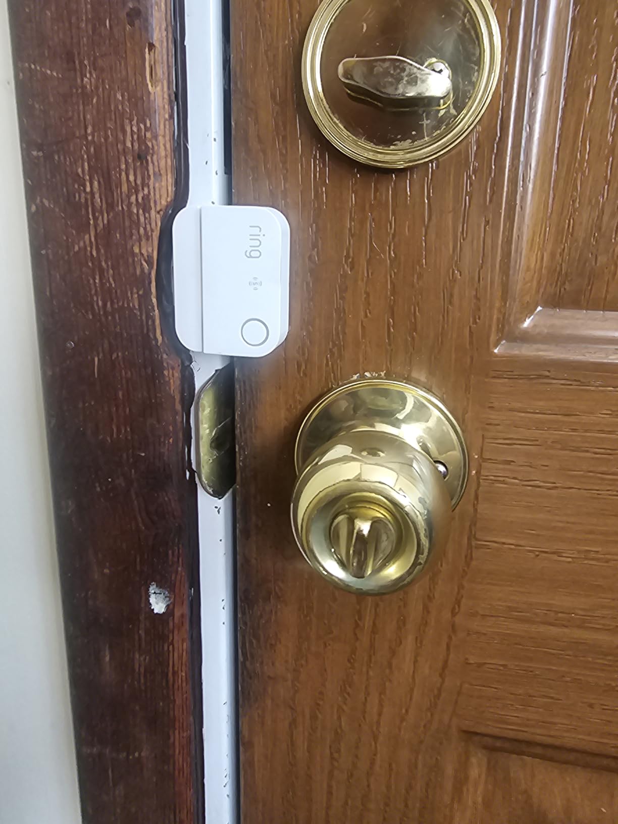 Ring Window & Door Sensor (newest model), protect entry points with instant alerts, easy installation, no base station needed, Professional Monitoring (sold separately) customer photo 2