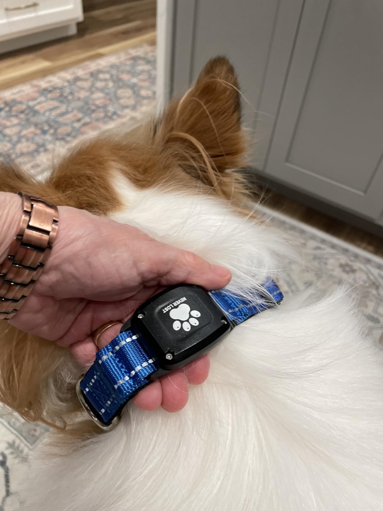 GPS Dog Collar with Tracker, Waterproof, No Monthly Fee, Red, L customer photo 2