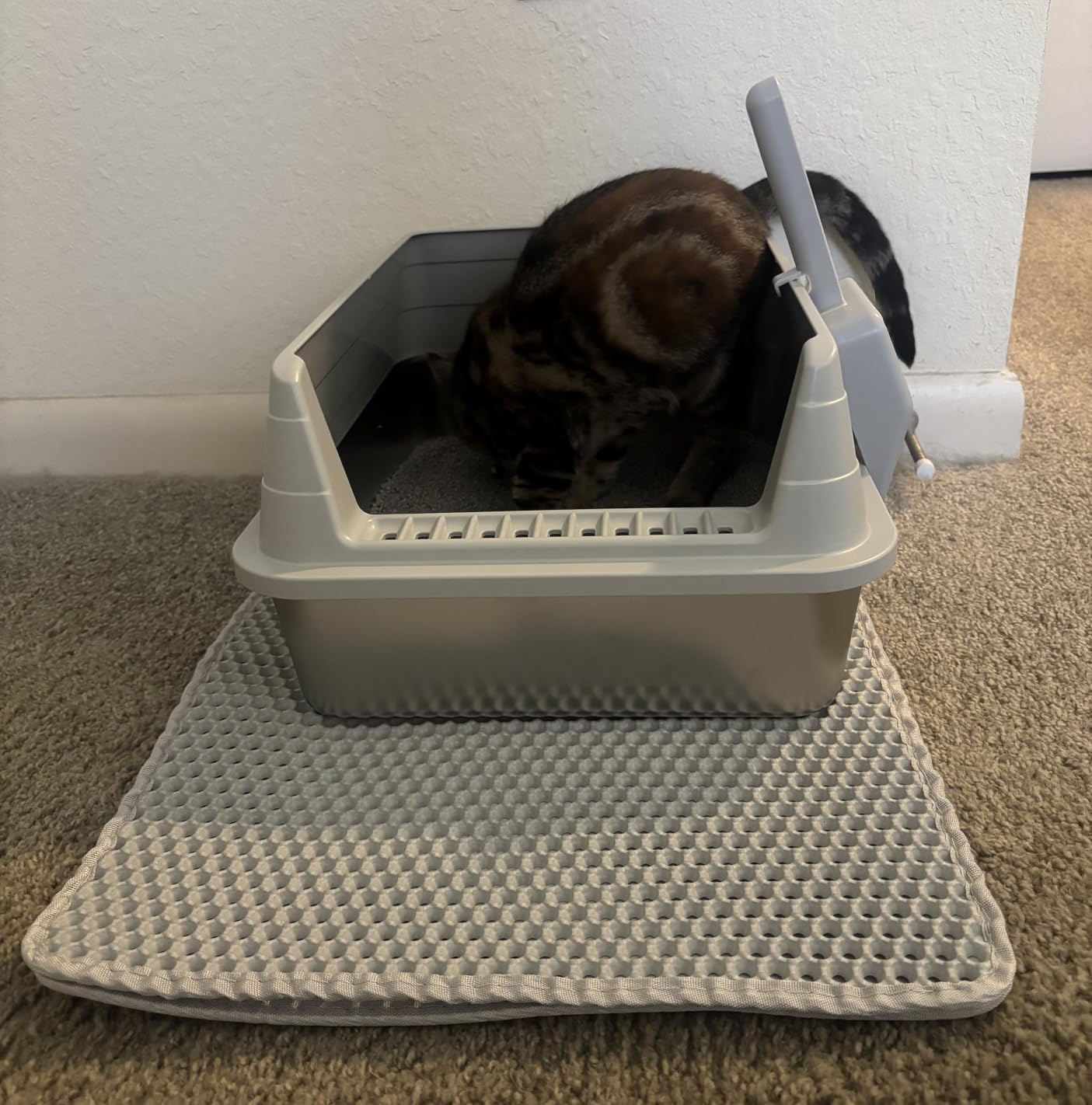 Stainless Steel Cat Litter Box with Lid, XL Metal High Sided Litter Box customer photo 1