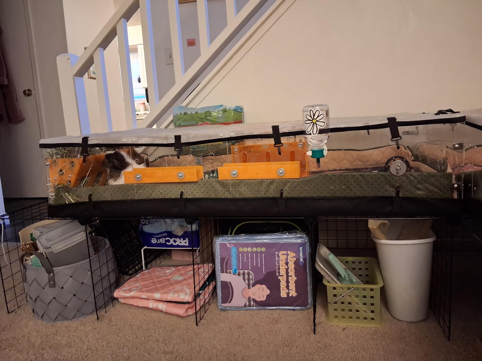 GuineaLoft™ Model-A3Loft 2-Level Acrylic Guinea Pig Cage w/Loft customer photo 1