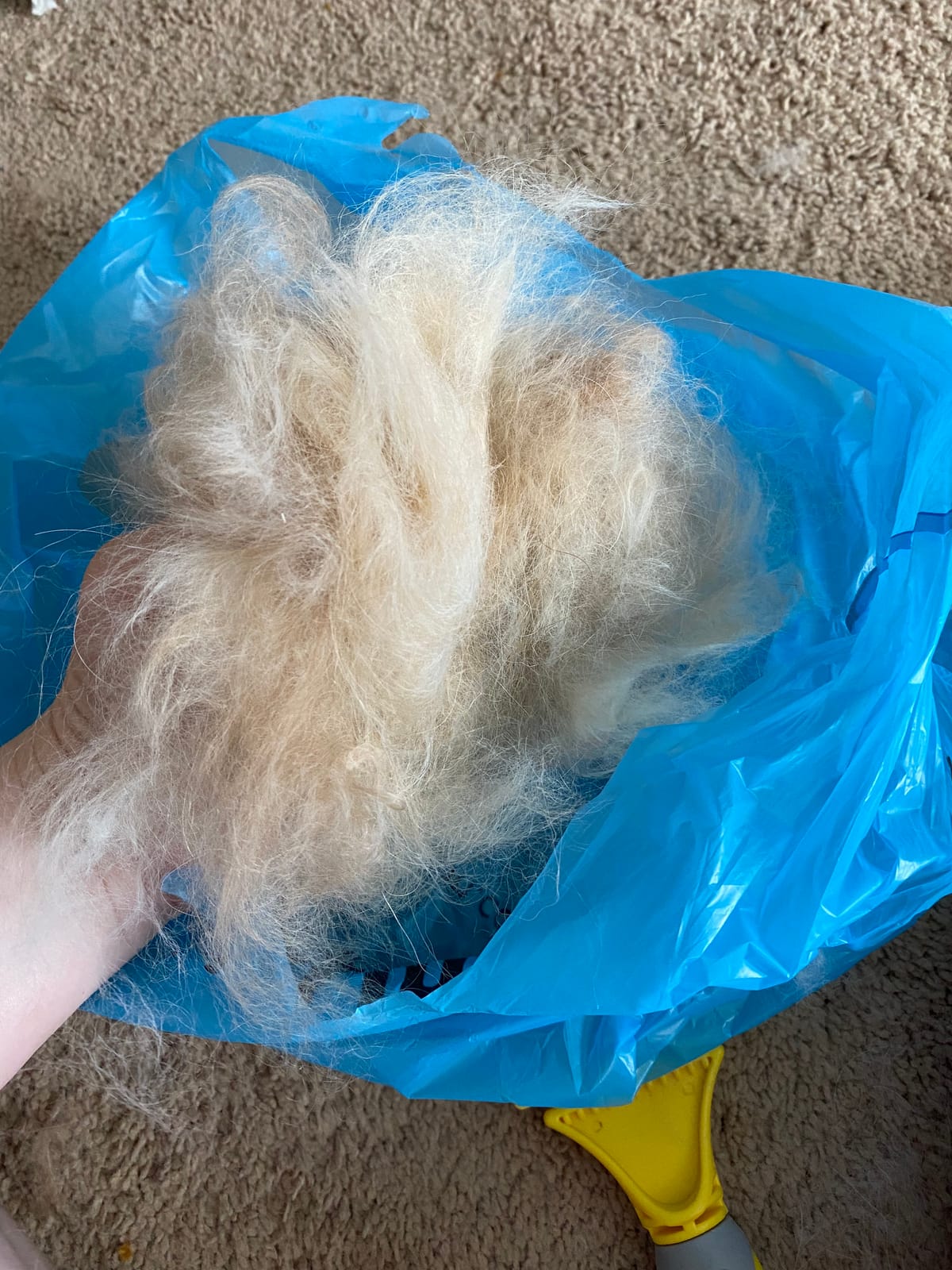 Self-Cleaning Deshedding Dog Cat Brush, Thick Double Coat Undercoat Rake customer photo 1