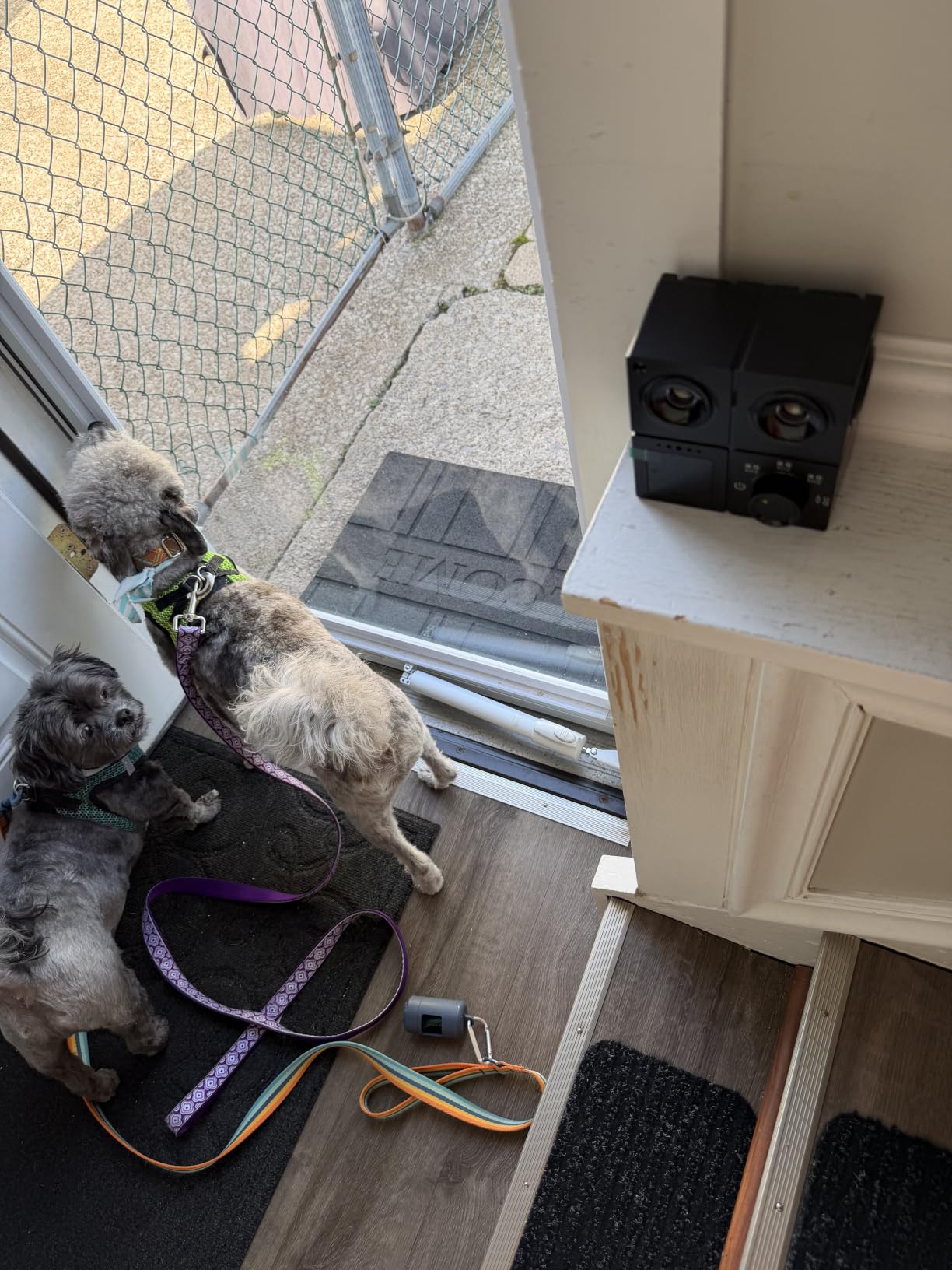 Anti Barking Device for Dogs, Ultrasonic Dog Bark Deterrent Devices with 4 Modes Up to 50ft, Dog Barking Deterrent Devices, Bark Box, Barking Control Devices for Dog Training in Outdoor/Indoor(New) customer photo 2