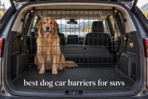 best dog car barriers for suvs