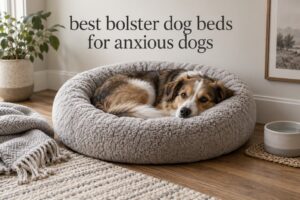 best bolster dog beds for anxious dogs