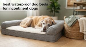 best waterproof dog beds for incontinent dogs